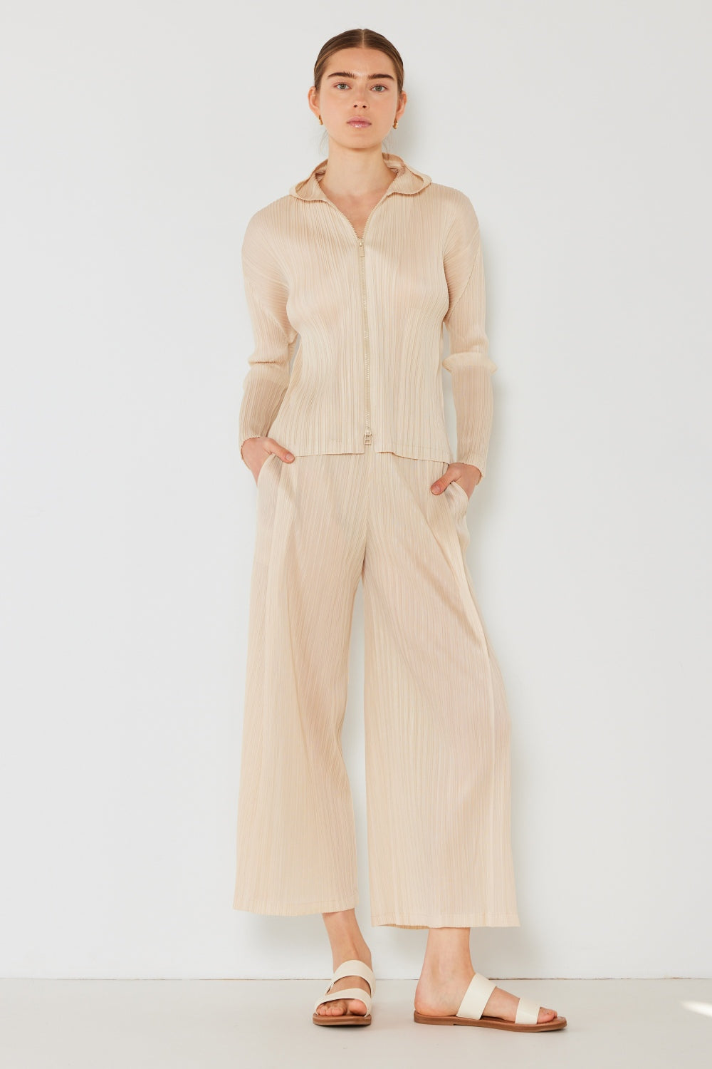 Marina West  Pleated Wide-Leg Pants with Side Pleat Detail
